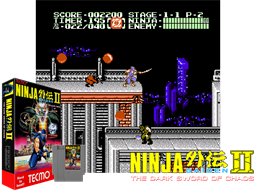 Ninja Gaiden II